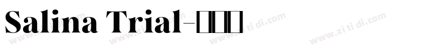 Salina Trial字体转换